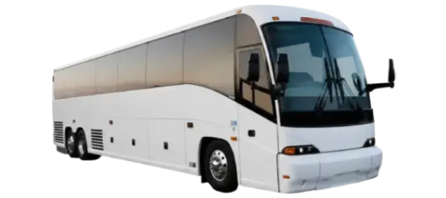 Full-Size Charter Bus for Port Canaveral cruise transfers