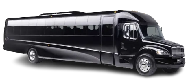 29-Passenger Coach Bus for Port Canaveral cruise transfers